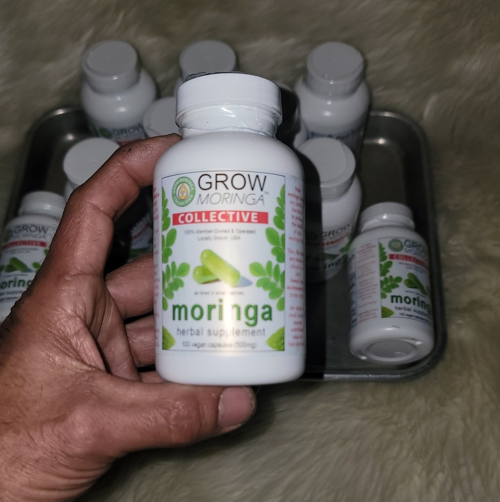 Moringa Oleifera